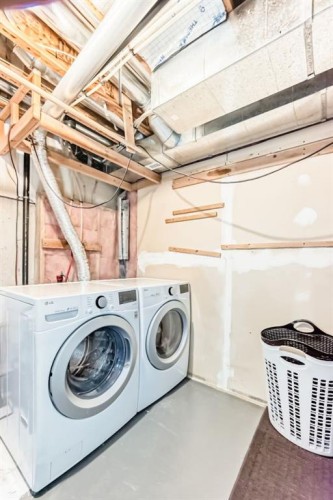 8-122 Bow Ridge Crescent, Cochrane, AB - Indoor Photo Showing Laundry Room