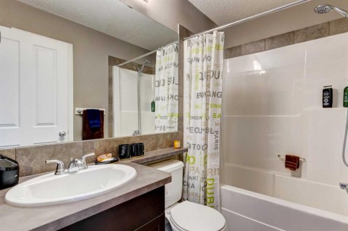207 Cranford Crescent Se, Calgary, AB - Indoor Photo Showing Bathroom