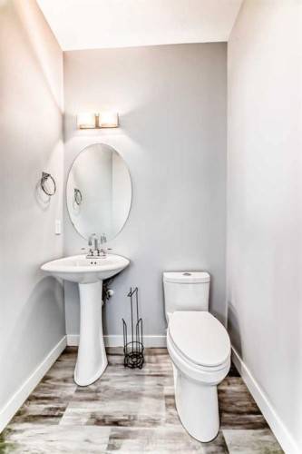 397 Rainbow Falls Drive, Chestermere, AB - Indoor Photo Showing Bathroom