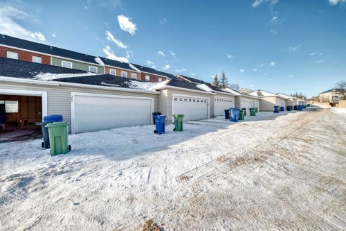 397 Rainbow Falls Drive, Chestermere, AB - Outdoor
