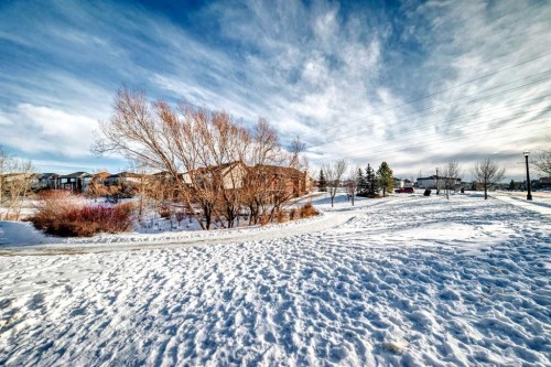 397 Rainbow Falls Drive, Chestermere, AB - Outdoor With View