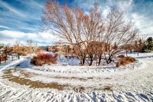 397 Rainbow Falls Drive, Chestermere, AB - Outdoor With View
