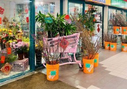 12-132 3 Avenue SE Calgary, AB T2G 0B6