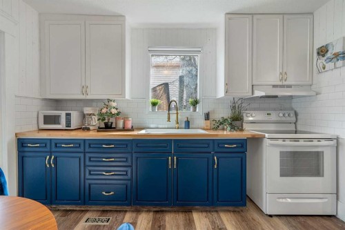 133 1 Street, Drumheller, AB - Indoor Photo Showing Kitchen With Double Sink
