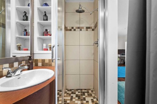 107 Woodford Crescent Sw, Calgary, AB - Indoor Photo Showing Bathroom