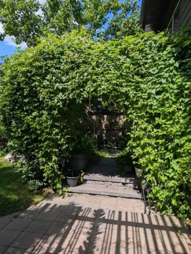 107 Woodford Crescent Sw, Calgary, AB - Outdoor