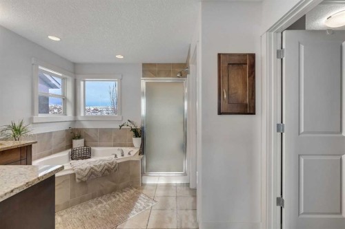 505 Discovery Ridge Boulevard Sw, Calgary, AB - Indoor Photo Showing Bathroom
