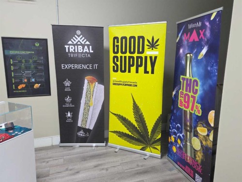 11125 38 Street, Calgary, AB 