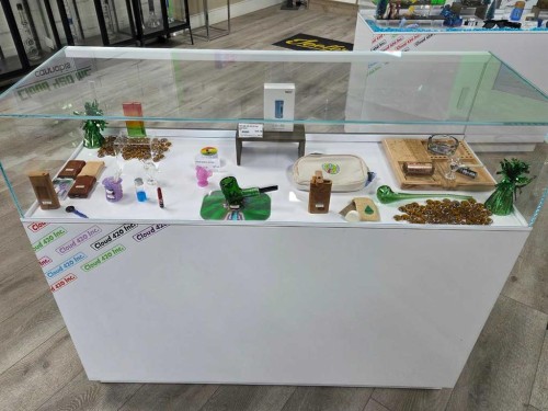 11125 38 Street, Calgary, AB 