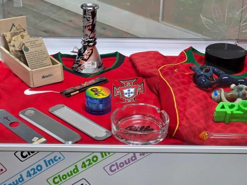 11125 38 Street, Calgary, AB 