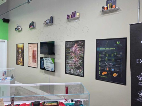 11125 38 Street, Calgary, AB 