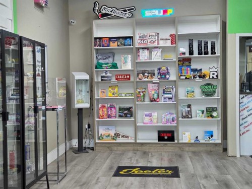 11125 38 Street, Calgary, AB 