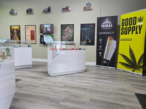 11125 38 Street, Calgary, AB 