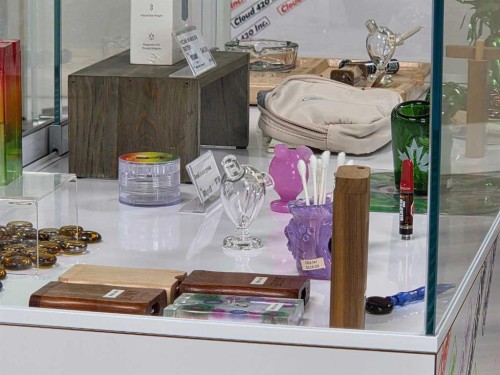 11125 38 Street, Calgary, AB 