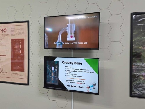 11125 38 Street, Calgary, AB 