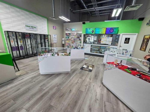 11125 38 Street, Calgary, AB 