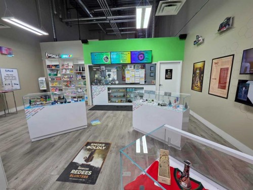 11125 38 Street, Calgary, AB 