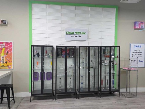 11125 38 Street, Calgary, AB 