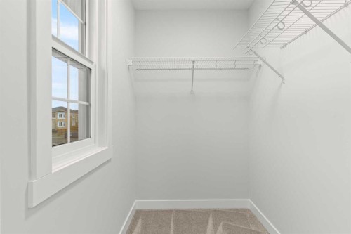 463 Kinniburgh Loop, Chestermere, AB - Indoor With Storage