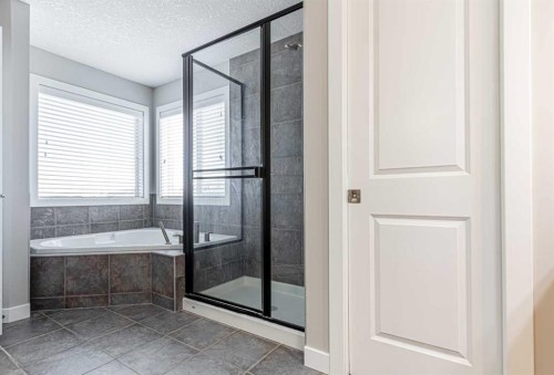 173 Silverado Plains Close Sw, Calgary, AB - Indoor Photo Showing Bathroom
