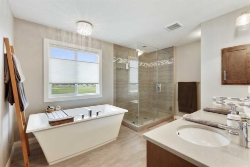 260 Boulder Creek Crescent Se, Langdon, AB - Indoor Photo Showing Bathroom