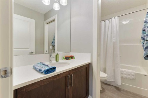 260 Boulder Creek Crescent Se, Langdon, AB - Indoor Photo Showing Bathroom