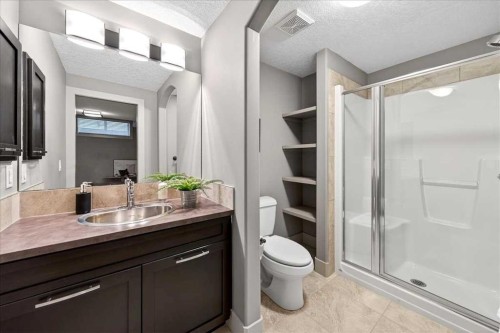 10 Discovery Ridge Way Sw, Calgary, AB - Indoor Photo Showing Bathroom