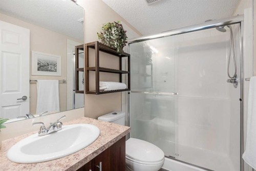 1305-755 Copperpond Boulevard Se, Calgary, AB - Indoor Photo Showing Bathroom