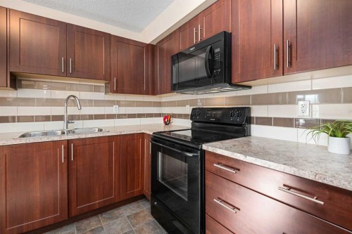 1305-755 Copperpond Boulevard Se, Calgary, AB - Indoor Photo Showing Kitchen With Double Sink