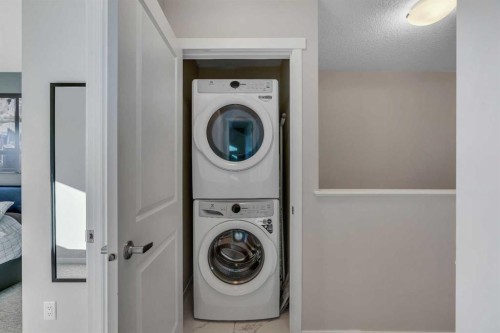 84 Masters Heights Se, Calgary, AB - Indoor Photo Showing Laundry Room