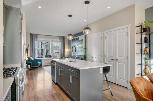 84 Masters Heights Se, Calgary, AB - Indoor Photo Showing Kitchen With Upgraded Kitchen