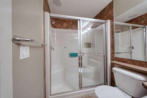 242-52 Cranfield Link Se, Calgary, AB - Indoor Photo Showing Bathroom