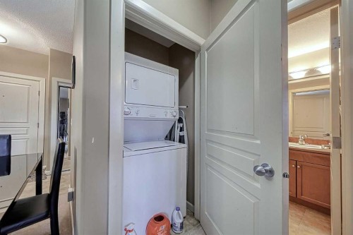 242-52 Cranfield Link Se, Calgary, AB - Indoor Photo Showing Laundry Room