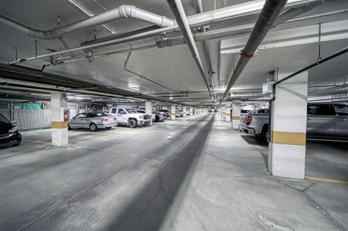 242-52 Cranfield Link Se, Calgary, AB - Indoor Photo Showing Garage