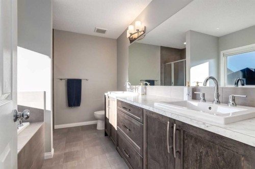 36 Sundown Common, Cochrane, AB - Indoor Photo Showing Bathroom