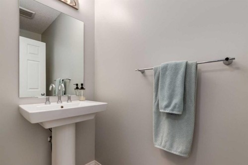 36 Sundown Common, Cochrane, AB - Indoor Photo Showing Bathroom