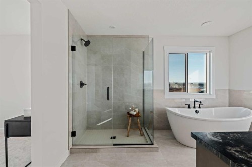 47 Setonridge Park Se, Calgary, AB - Indoor Photo Showing Bathroom