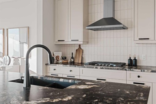 47 Setonridge Park Se, Calgary, AB - Indoor Photo Showing Kitchen With Double Sink With Upgraded Kitchen