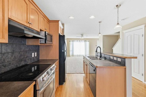 160 Taradale Drive Ne, Calgary, AB - Indoor Photo Showing Kitchen With Double Sink With Upgraded Kitchen