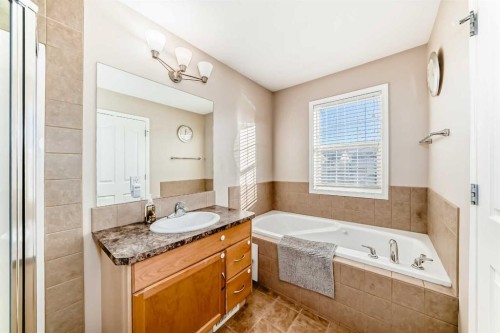 47 Bridlecrest Road Sw, Calgary, AB - Indoor Photo Showing Bathroom