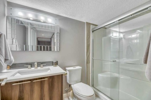44 Douglas Shore Close Se, Calgary, AB - Indoor Photo Showing Bathroom