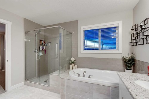 101 Boulder Creek Place, Langdon, AB - Indoor Photo Showing Bathroom