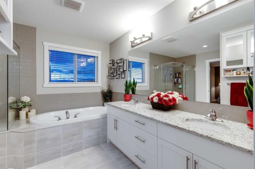 101 Boulder Creek Place, Langdon, AB - Indoor Photo Showing Bathroom