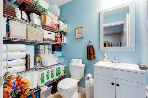101 Boulder Creek Place, Langdon, AB - Indoor Photo Showing Bathroom