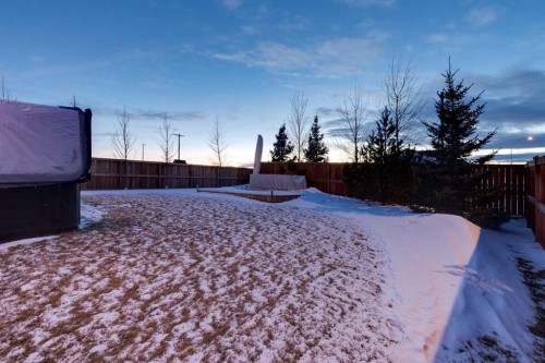 101 Boulder Creek Place, Langdon, AB - Outdoor