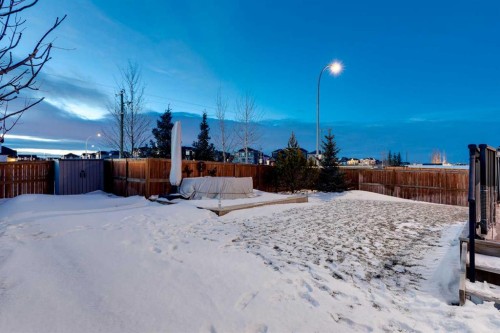 101 Boulder Creek Place, Langdon, AB - Outdoor