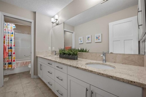 206 Mahogany Passage Se, Calgary, AB - Indoor Photo Showing Bathroom