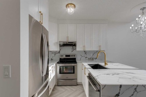 403-527 15 Avenue Sw, Calgary, AB - Indoor Photo Showing Kitchen With Upgraded Kitchen