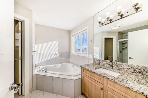 70 Martha'S Meadow Close Ne, Calgary, AB - Indoor Photo Showing Bathroom