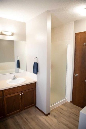 283 Highland Circle, Strathmore, AB - Indoor Photo Showing Bathroom